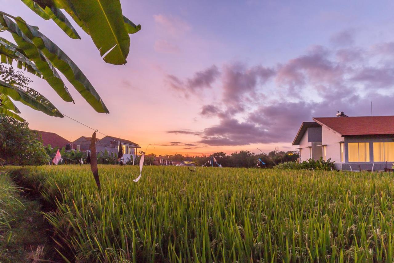Charming Ricefield View 3 Bedrooms Villa Canggu Eksteriør billede